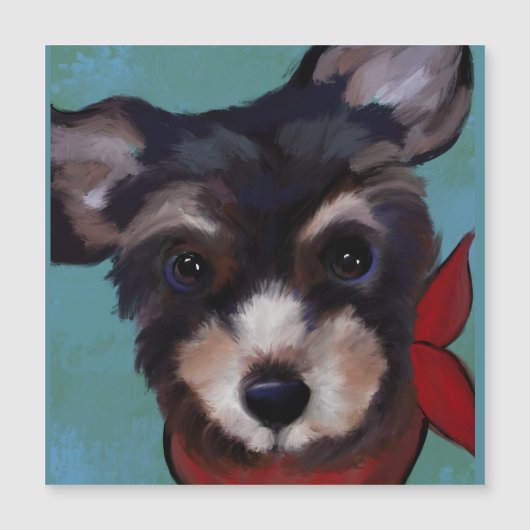 Yorkie Poo Magnetkarte (Vorderseite)