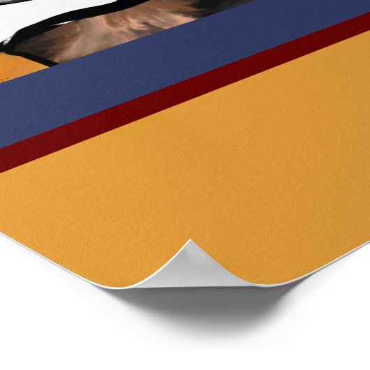 Yorkie Poo Poster (Ecke)