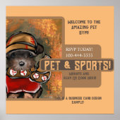 Yorkie Poo Poster (Vorne)