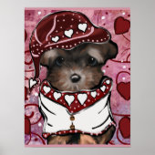 Yorkie Poo Poster (Vorne)