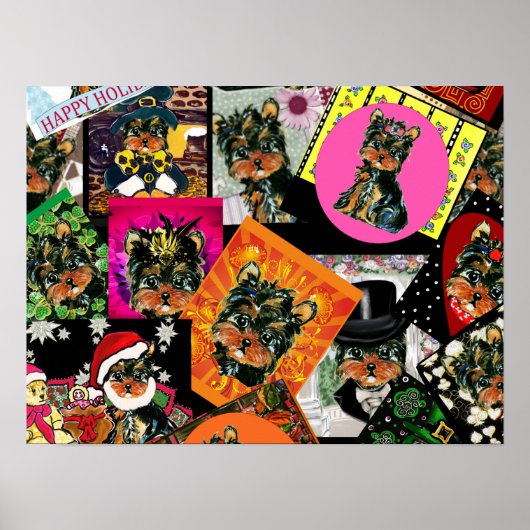 YORKIE POO POSTER (Vorne)