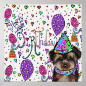 Yorkie Poo Poster (Vorne)