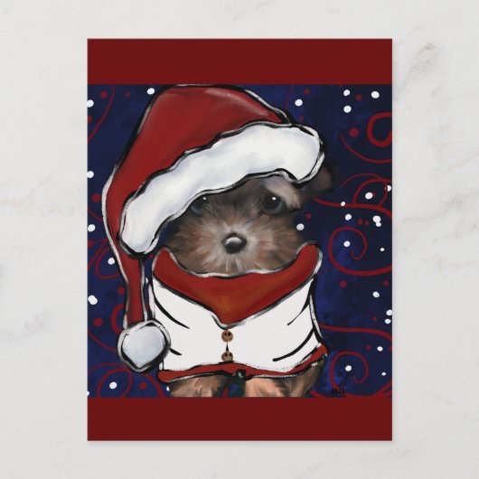 Yorkie Poo Postkarte (Vorderseite)