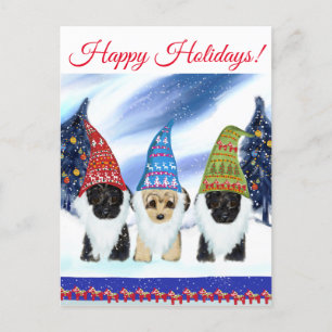 YORKIE POO POSTKARTE