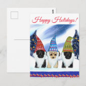 YORKIE POO POSTKARTE (Vorne/Hinten)