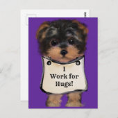 Yorkie Poo Postkarte (Vorne/Hinten)