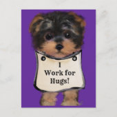 Yorkie Poo Postkarte (Vorderseite)