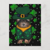 Yorkie Poo Postkarte (Vorderseite)