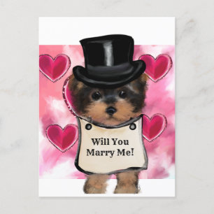 Yorkie Poo Postkarte