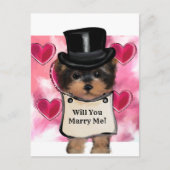 Yorkie Poo Postkarte (Vorderseite)