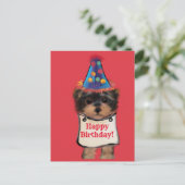 Yorkie Poo Postkarte (Stehend Vorderseite)