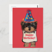 Yorkie Poo Postkarte (Vorne/Hinten)