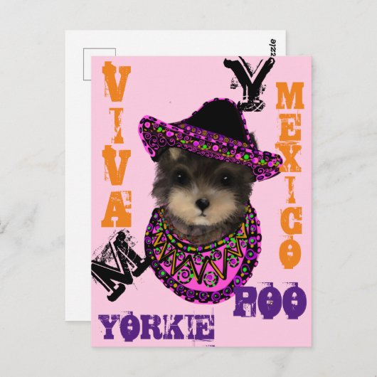 Yorkie Poo Postkarte (Vorne/Hinten)