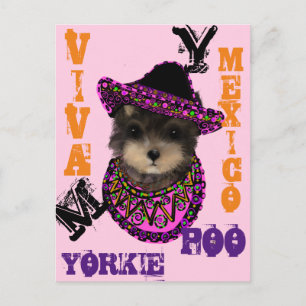 Yorkie Poo Postkarte
