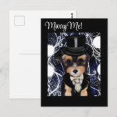 Yorkie Poo Postkarte (Vorne/Hinten)