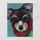 Yorkie Poo Postkarte (Vorderseite)