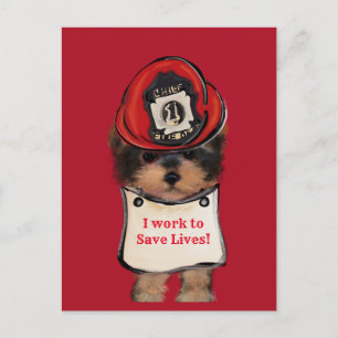 Yorkie Poo Postkarte