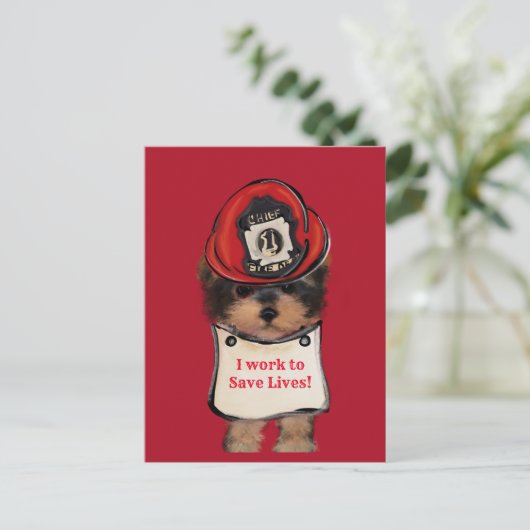 Yorkie Poo Postkarte (Stehend Vorderseite)
