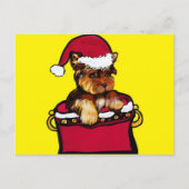 YORKIE POO POSTKARTE (Vorderseite)