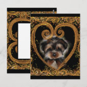 Yorkie Poo Postkarte (Vorne/Hinten)