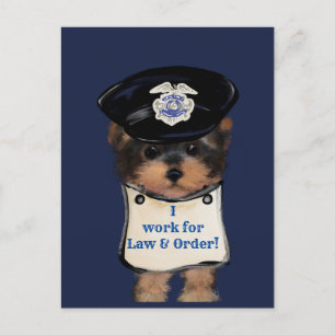 Yorkie Poo Postkarte