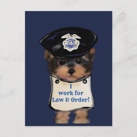 Yorkie Poo Postkarte (Vorderseite)