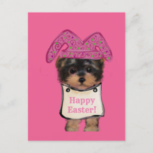 Yorkie Poo Postkarte