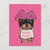 Yorkie Poo Postkarte (Vorderseite)