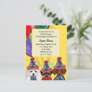Yorkie Poo  Postkarte