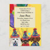 Yorkie Poo Postkarte (Vorderseite)