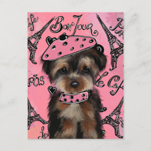 YORKIE POO POSTKARTE