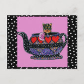 Yorkie Poo Postkarte (Vorderseite)