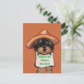 Yorkie Poo Postkarte (Stehend Vorderseite)