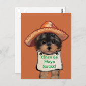 Yorkie Poo Postkarte (Vorne/Hinten)