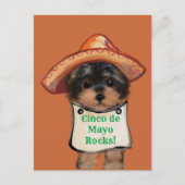 Yorkie Poo Postkarte (Vorderseite)