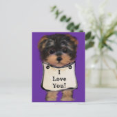 Yorkie Poo Postkarte (Stehend Vorderseite)