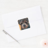 YORKIE POO QUADRATISCHER AUFKLEBER (Umschlag)