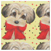 Yorkie Poo Stoff (Nahaufnahme)