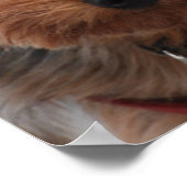 Yorkie Poster (Ecke)
