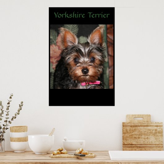 Yorkie Poster (Küche)