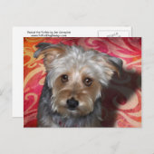 Yorkie Postkarte (Vorne/Hinten)