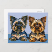 Yorkie Postkarte (Vorne/Hinten)