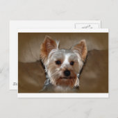 Yorkie Postkarte (Vorne/Hinten)
