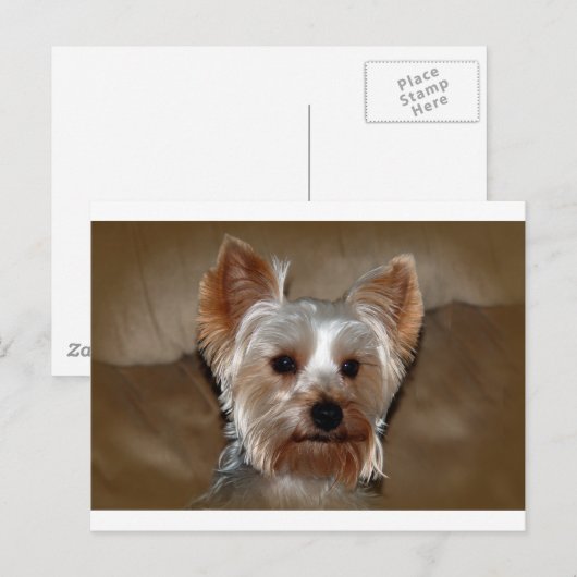 Yorkie Postkarte (Vorne/Hinten)
