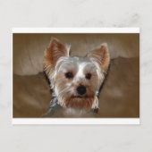 Yorkie Postkarte (Vorderseite)