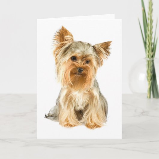 Yorkie Puppy Grußkarte Karte (Vorderseite)