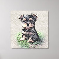 Yorkie, Puppy, Haustier
