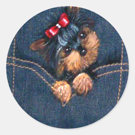 Yorkie Puppy in Pocket Runder Aufkleber (Vorderseite)