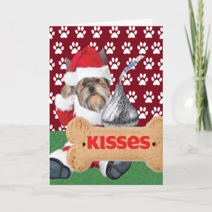 Yorkie Puppy Kiss Weihnachtskarten Feiertagskarte