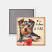 Yorkie Puppy Magnet (Vorderseite/Rückseite)